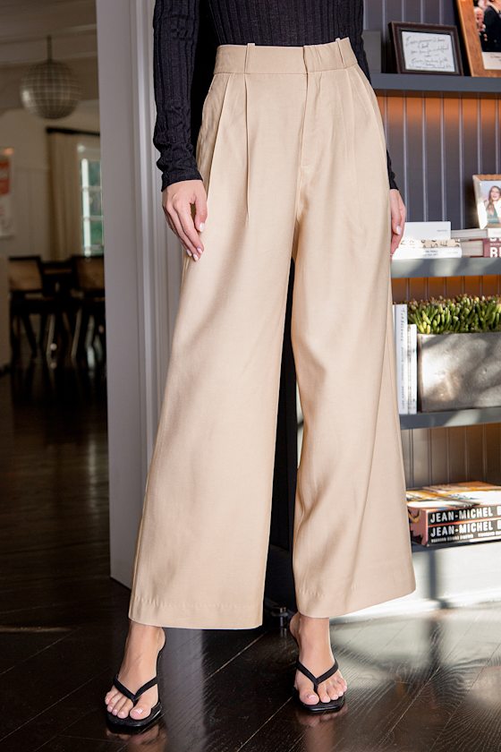 Business Woman Beige Wide-Leg Trouser Pants 6