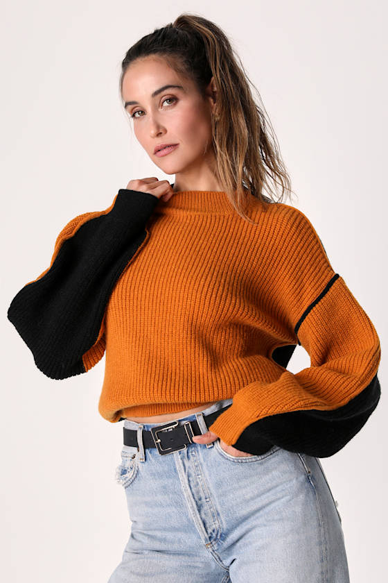 Brown and Black Sweater Color Block Sweater Pullover Sweater Lulus