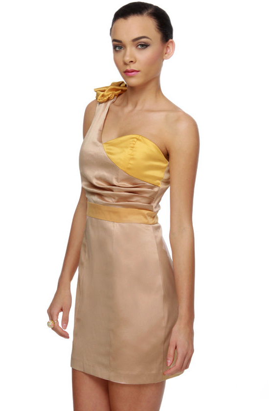 Candied Ginger One Shoulder Color Block Dress