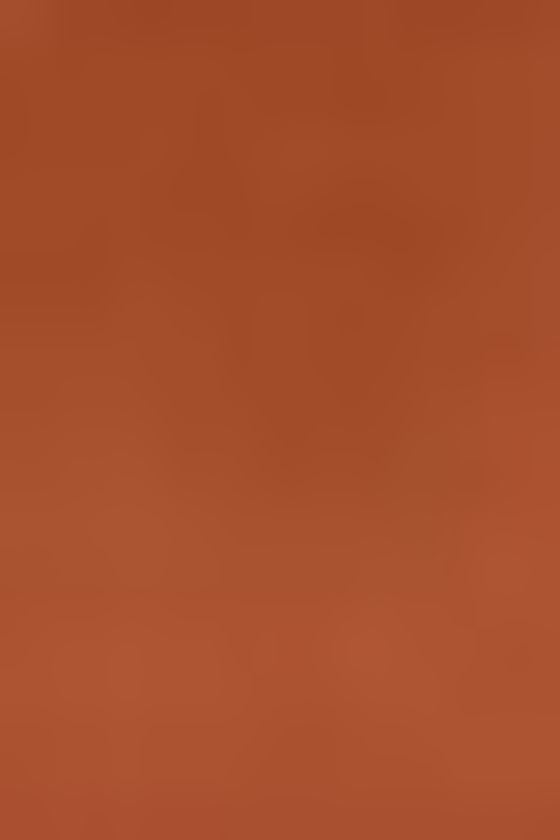 Foreign Film Cinnamon Brown Dress