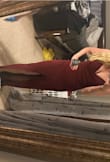 It fit well and I loved the color. I typically wear a small but ordered an XS because they didn't have a small at the time. The XS was perfect and fit. I ordered it for a wedding but ended up wearing a different one. It's very pretty though. - Taylor B.