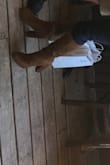 I have black and brown boots.
Amazing!!!!
Very comfortable, sassy, and versatile.
I wanted to buy a pair for my daughter but sadly unavailable. - Teri S.