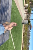 Wore these wine tasting and they are so comfy.  Super light weight.  So happy! - Jaime M.
