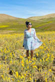This is such a beautiful summery dress. The material is great and love the soft colors, only downside is it runs big. - Olympiya B.