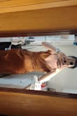Somehow I received a medium instead of a small but a small would not have fit. The only problem I have is with the ruching on the side. It doesn't fit my shape. - Chrissy H.