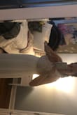 I purchased this dress for my upcoming wedding, looking for something with enough room for my growing pregnant belly. The dress will be perfect! I'm on the larger size bust wise especially while pregnant, so a strapless minimized bra works amazingly well with this dress. The quality is unbelievable and such a practical, easy to wear dress! Can't wait to wear this for my wedding and beyond! - Jennifer C.