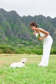 I was looking for a simple but beautiful Wedding dress for photo shooting. And this dress is so beautiful! I really like it. Shoulder straps look cheap but fairly for the price. - Akane T.