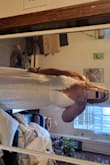 This dress is so beautiful! the material is really soft and comfortable and it is exactly what I was looking for to change into for my reception! It was long and had to be hemmed but that was the only alteration needed. - Corrie D.