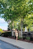 I'm normally XS but, after reading the reviews. I ordered S and work perfect. - Ruth N.
