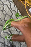 Absolutely gorgeous shoes and comfortable, true size, good quality - Carine I.