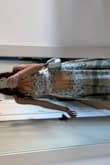 I absolutely love this dress I'm so happy with my purchase! I wore it for a bridal shower and got so many compliments! - Alexandra S.