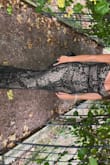 I got lots of compliments! It was very comfortable and fit perfectly :) - Kelly D.