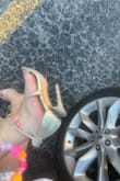 My right heel literally broke within an hour of me wearing them. I treat my shoes like gold so it's not my fault. $30 gone. - Carly O.