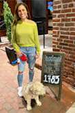 These are SO comfortable and fit SO perfectly! The high waist is so flattering and the tapered ankle is exactly where it needs to be. Got lots of compliments. Top is also Lulus. - Lindsey S.