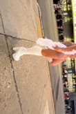 If you have a little bit bigger calves, size up!! They run tight but stretch a little bit. The texture is different from the picture, but so cute! - Teresa M.