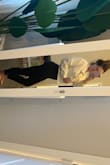 Runs very large. Took me 3 tries but I finally got the right size. For reference- I usually wear size Large in most Lulus jackets.  I ordered Large, then medium then small, and finally found that the small fits the best.  The sleeves are very baggy so I recommend sizing down for a better fit, even the small is loose but it's very cute and comfy and goes well with any outfit! - Kirsti W.
