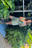 I bought this for the beach to use as a cover up, I wear it casually in the summer all of the time. It's easy, simple and extremely comfortable. - Autumn F.