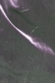 Lulus has declined to provide my original form of payment as a refund bc I have a dog and 3 dog hairs got on a dress. Shop somewhere else with less hassle. Picture provided by them to prove pet hair. - Katie C.