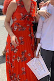 Beautiful dress very elegant I really love the colors - Rosanna G.