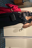 I had ordered a size medium (my usually size, but I know I can vary depending material of dress)& it  indeed fit me small from my back. The chest area was too tight I was going to be uncomfortable. So I ordered the size large which was perfect. It is long, so I needed to get it fixed. Made the girls look good and waist look small, loved it! - Carolina O.