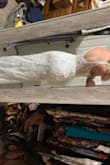 I am so impressed with the comfort of this dress. The beading is intricate and beautiful. The bust is a little loose and I may need to have the straps tightened. - Camille T.