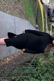 It is one of the softest dresses I own! So comfortable and so cute!! When I took it out of the bag it did look big, but once I put it on I thought it was great! I like a looser fit so for me this size was perfect!! - Kelsie D.