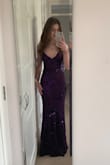 Perfect there are two layers one purple material and mesh with the sequins. - Lucy C.