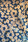 The dress is so cute but the material is cheap. Wore it for the first time today for Easter and it somehow is unstitching at the seams!? - Lizandra L.