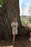 Wore this first for Easter then on a Wine Tour. I got compliments at every winery! It was tight in my shoulders & shorter than expected when sitting (I have broad shoulders). One definitely has to wear a tank or cami underneath! Based off reviews/size guide a (M) was purchased (can't return).  The overlap of material isn't sufficient because any breeze & your underwear is showing. Maybe a (L) would've fit better but I never buy/wear (L) dresses.  It's cute but some adjustments have to be made. - Melissa T.