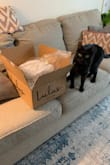The dress is beautiful and fit very well. I was looking for a dress with no train so this is perfect! Lulus was very efficient with shipping and dealing with returns. A flawless experience! - Sarah B.