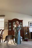 Dear Customer Service,
The dress I ordered is too big and very long. I have had back issues and been trying to deal with that.  I would love to exchange it for the perfect size, please. 
Sincerely,
Andriana Mirolock - Andriana M.