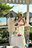Perfect dress for our destination wedding in Saint Lucia, No worry to package this for travel. When we arrived I simply teamed out the wrinkles. Added a belt for some sparkle but is beautiful without one as well. - Kathleen D.