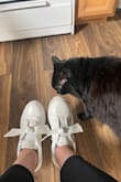 Amei, coube certo, exatamente como na foto, excelente qualidade e confortável!
Uma excelente aquisição! Até o gatinho curtiu!
Lulus Employee Translation: I loved it, it fit right, exactly as in the photo, excellent quality and comfortable!
An excellent acquisition! Even the kitten liked it! - Dell G.