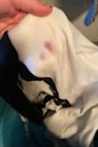 I loved everything about this. The collar bled color. Tried to get the stains out, but it's impossible. - Paige F.