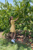 I love this dress. It is so cute. It's super light and fits like a glove. Very comfortable. Perfect for any occasion. The material does wrinkle quickly though. - Amanda L.