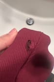 I was on the waiting list for Small and they sent me an XS with a hole and a stain on the dress! So disappointed! Never expected such a service! - Kiran B.