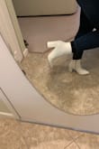 They fit true to size for 6.5. The heel feels comfy, and not too high. Good looking. Suitable for office jobs. They can be styled with jeans or a dress. See pics. - Tanya S.