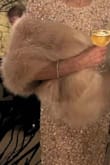 Bought this for my mom to wear over her dress for our December wedding. It looked so classy and elevated her look while keeping her warm. She absolutely loved it. - Jessica P.
