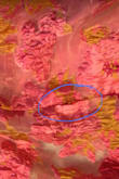 Beautiful dress but wore it one time, and the fabric was torn in multiple places. Disappointed! - Chitra M.