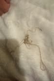 A messed up item. I don't appreciate it coming in like that and would like credit or another one please - Carolina C.