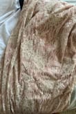 The photo shows this dress as being a warm, dusty pink shade; however, when unboxing, the under layer is pink and the top lace layer is almost a brown color. It looks absolutely nothing like the photo. - Alannah S.