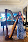 I work as a musician at a hotel and this dress is so lovely. I always receive compliments on it. I do have to use some dress tape to make sure the side of my breasts don't show because of how the side of the dress is cut, and it is tight at the point of the top of the zipper. It does not give at all. Overall, a great dress! - Marissa S.