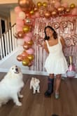 This is a super comfy and cute dress! I felt supported at the top. The straps had little sticky things on them so they wouldn't fall, which is awesome!! It's the perfect dress to match my dogs! - Meadow P.