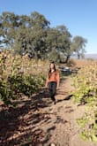 Wore it to a winery. It was a little windy but sweater kept me warm. Everything about it was perfect. Length, color, weight of the sweater was perfect! - JANET B.