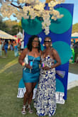 Beautiful dress. Loved it. It was a tad bit heavy because of the lining. But loved it overall. - Niccretia Y.