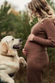 This dress fit me perfectly for my regular size, but also is the perfect amount of stretchy to grow with me while pregnant. Have been wearing this dress all the way up in my third trimester. It is also nice and thick for winter months! - Aubrey M.