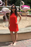 I love the coral red color and the style of the dress, and the xs fits perfectly! Well made, doesn't look cheap, and it can be dressed up or down. - Ellen F.