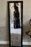 Love this dress, it is fitted through the middle, but is loose through the bust (I'm very small chested). It looks exactly like the pictures. Can't wait to wear it. - Karen L.