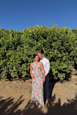 Fits like a glove! Got so many compliments and everyone was a big fan! Great colors and most flattering dress ever. Very comfy and great for the price! - Ella R.