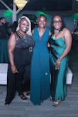 I absolutely love this dress! I received so many compliments. - Kemesha N.